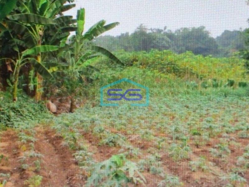 Dijual Tanah Di Bogor LT 81711m2