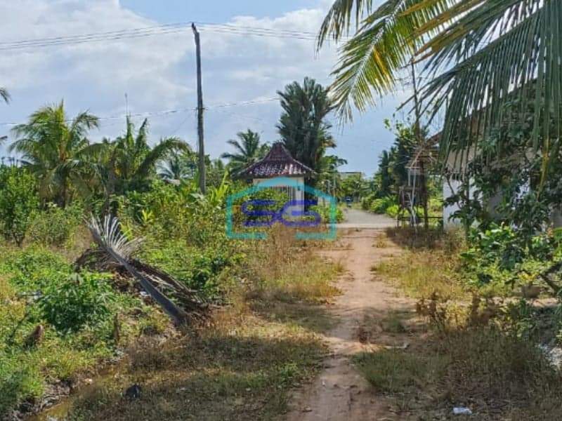 Dijual Tanah Keras Siap Bangun Kawasan Ramai Talang Jambe Palembang Bebas Banjir