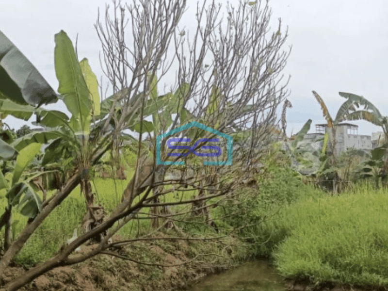 Dijual Tanah Datar bisa bangun Pabrik atau Gudang Luas Tanah 5800 m di Narogong