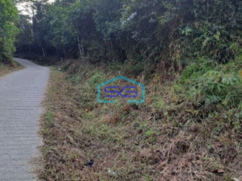 Dijual Tanah Sukajaya Jonggol Bogor Luas Tanah 170000m2