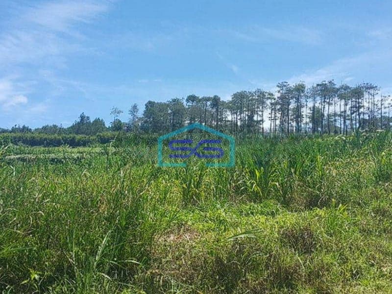 Dijual Tanah Lembang Asri Bandung View Bagus Luas Tanah 5400m2