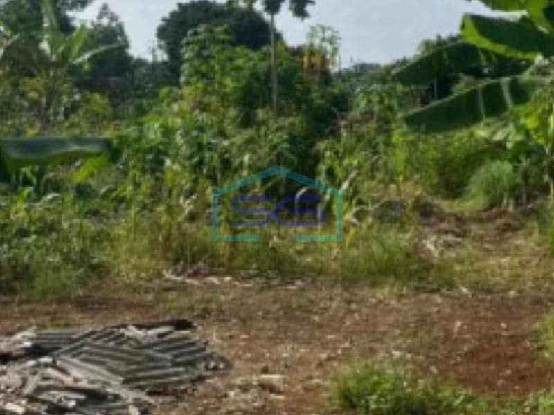 出售位于坦格朗班滕西绍的无洪水房契土地