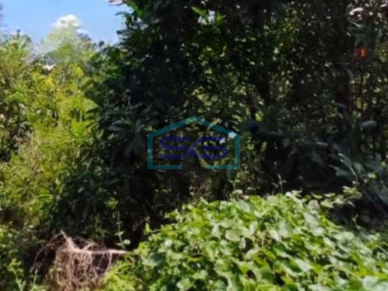 出售：南丹格朗 4000 平方米宽敞防洪区土地
