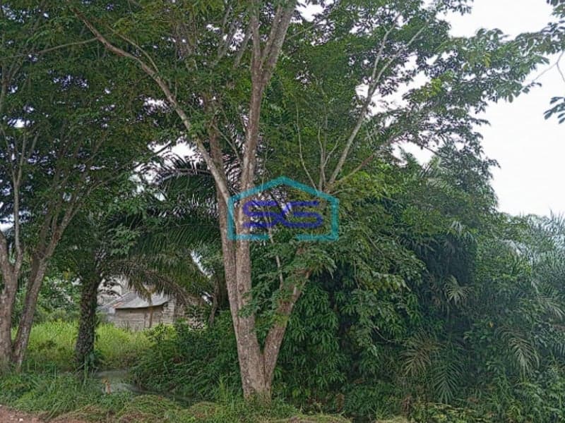 Dijual Cepat! Tanah Strategis Talang Jambe Banyuasin Sumatera Selatan Harga Terjangkau, Lokasi Premium!