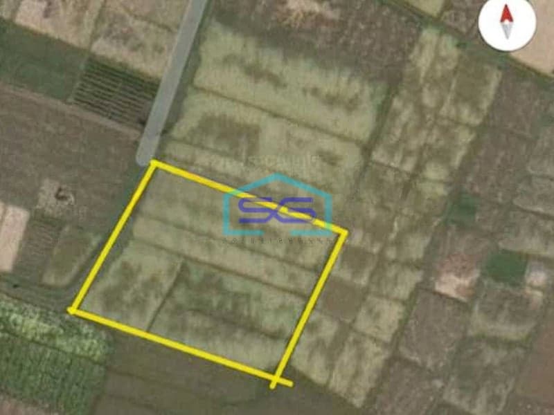 Dijual Tanah Lokasi di Tabanan Bali Luas Tanah 2500m2