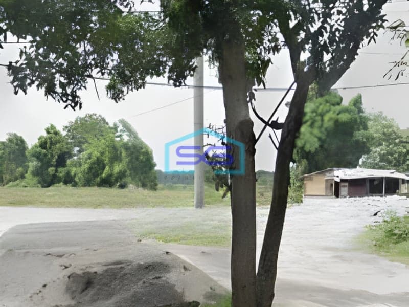 Dijual Tanah Luas  8000 m² Lokasi Tigaraksa Tangerang