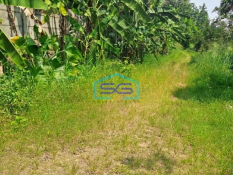 Dijual Tanah di Desa Batu Tulis Nanggung Bogor Luas Tanah 4 Hektar