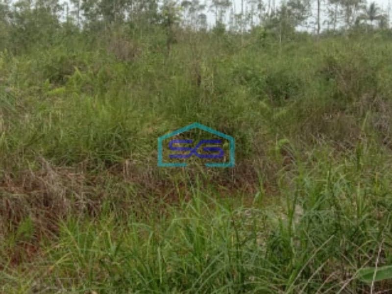 Dijual Lahan Tanah Jalan Tanjung Api Api Km 10 Palembang LT 14 Hektar