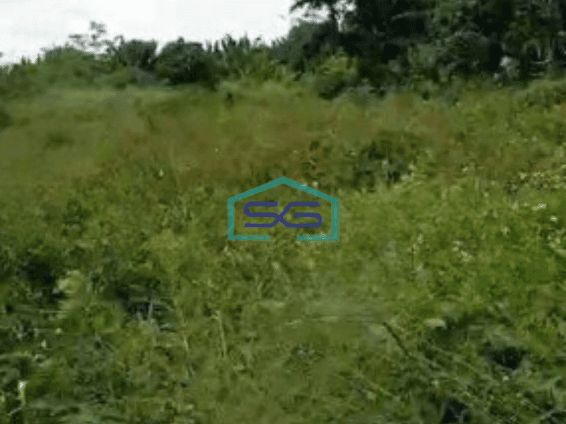 Dijual Tanah Luas 70000 m² di Lego Tangerang Harga Bisa Nego