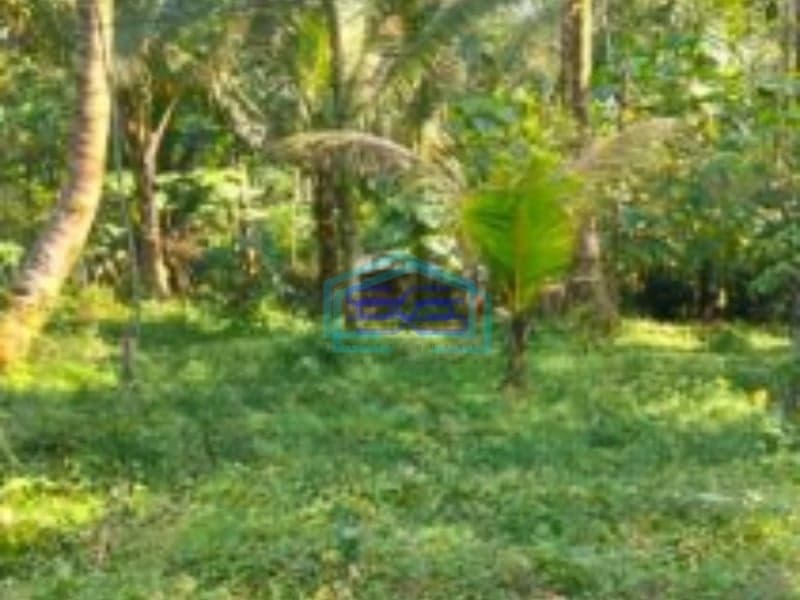 Dijual Tanah Di Purbalingga Jawa Tengah Luas Tanah  4420 m²