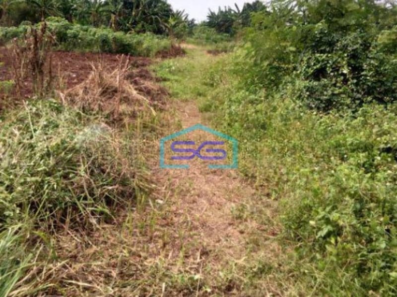 Dijual Tanah di Jalan Siliwangi Tangerang SHM Luas 43370m²