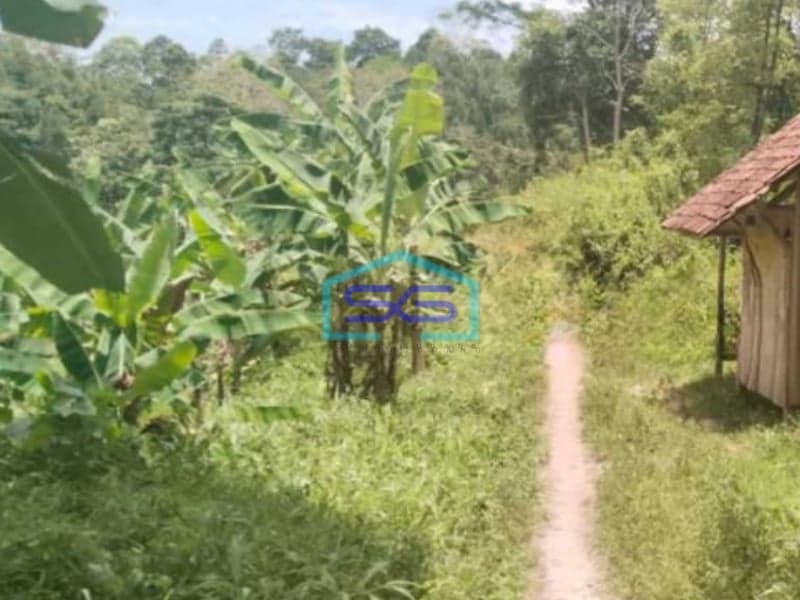 Dijual Tanah di Teluk Betung Timur, Bandar Lampung Luas 9316m2