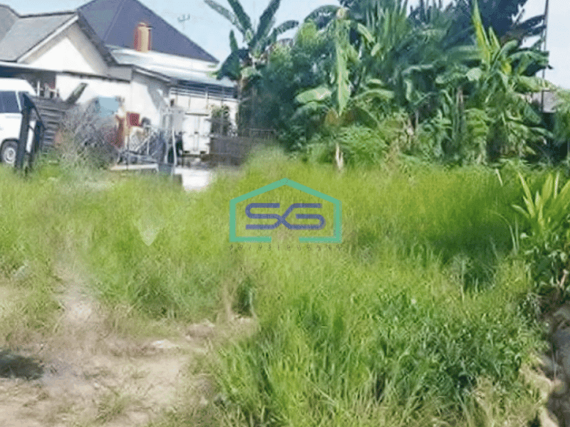 Dijual Tanah Plus Bangunan Walet di Pangkal Pinang, Bangka Tengah