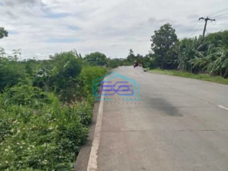Dijual Tanah Sawah Di Desa Kelebet Kec. Kemiri Kab. Tangerang Luas Tanah  200000 m²