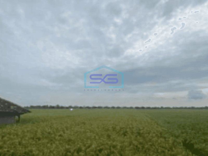 Dijual Tanah di Kertajati Majalengka Jawa Barat Luas 4622m²