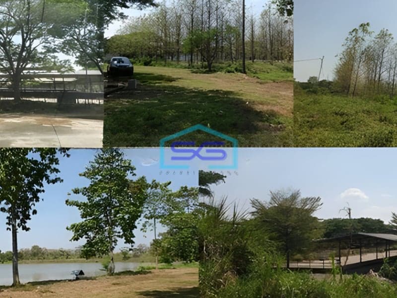 Dijual Tanah di Lokasi Strategis Pabuaran Subang Jawa Barat LT 528000m2