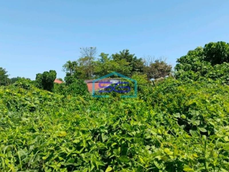 Disewakan Tanah Di Samping Kantor Gubernur Wanea, Manado Luas Tanah (PxL)  5000 m²