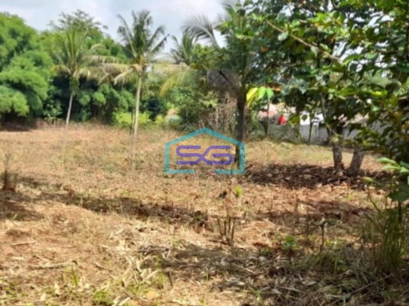 Dijual Tanah Luas  5070 m² Lokasi Bebas Banjir di Parung Bogor