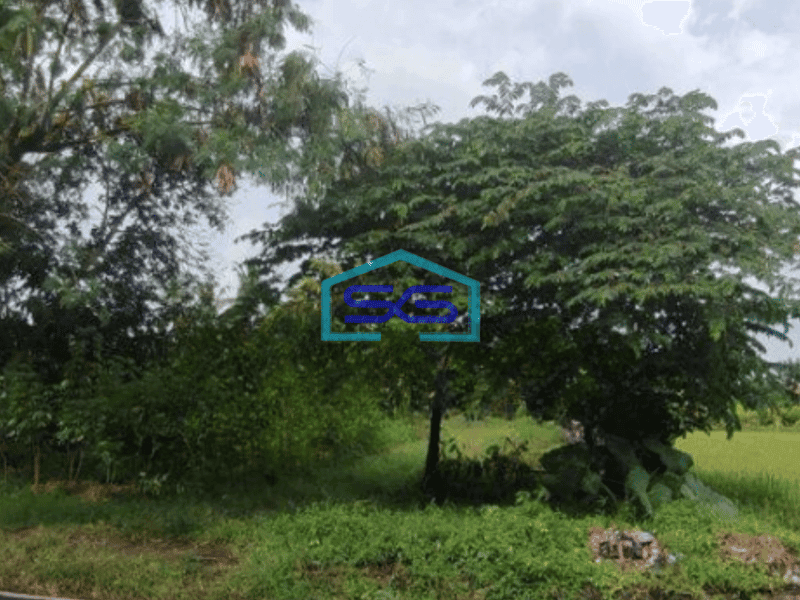 Dijual Tanah Luas 2800 m²  di Kasihan Bantul Yogyakarta