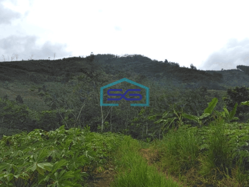 Dijual Tanah Super Murah di Pelabuhan Ratu Sukabumi Luas 100 Ha