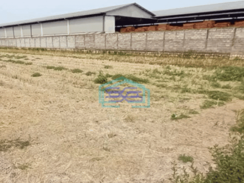 Dijual Tanah di Raya Krembung Jasem Cocok Untuk Kawasan Industri Luas Tanah 2052 m²