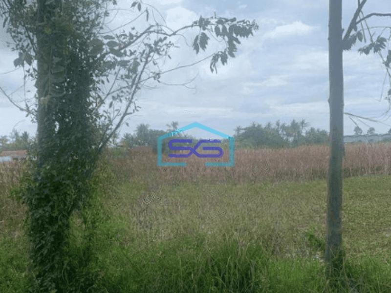 Dijual Tanah Luas 10000 m² di Pakuhaji Tangerang