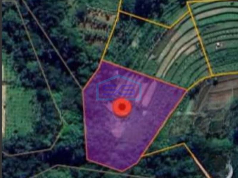 Dijual Tanah Murah di Payangan Gianyar Bali Luas Tanah 4880m2