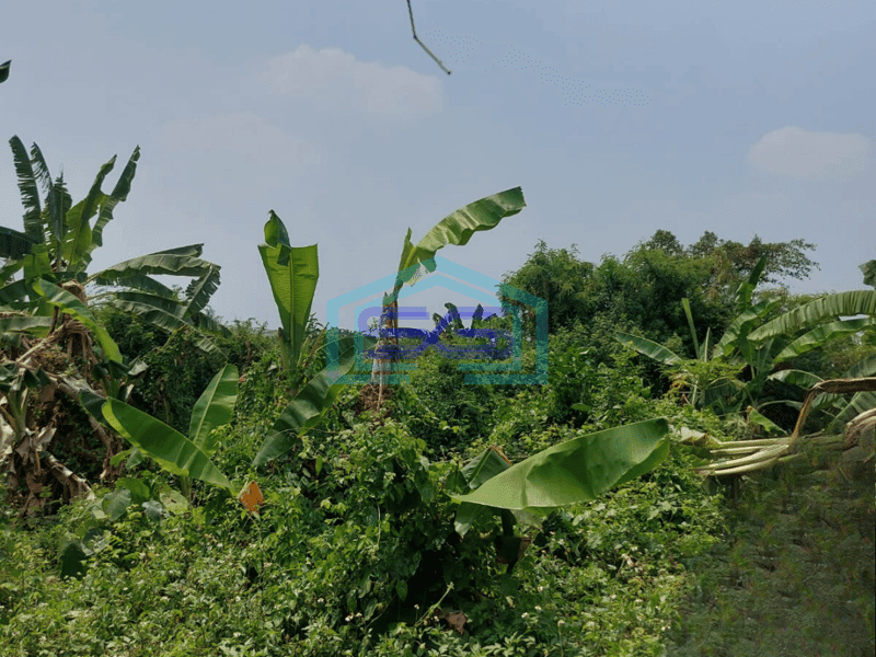 Dijual tanah kosong di Kalideres Jakarta Barat