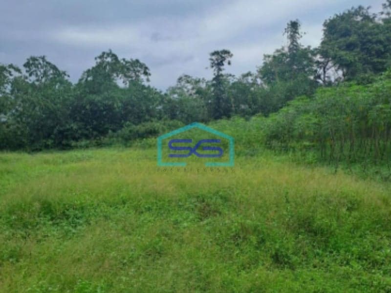 Dijual Tanah Di Cipinang Rumpin Bogor Jawa Barat Luas 15000m2