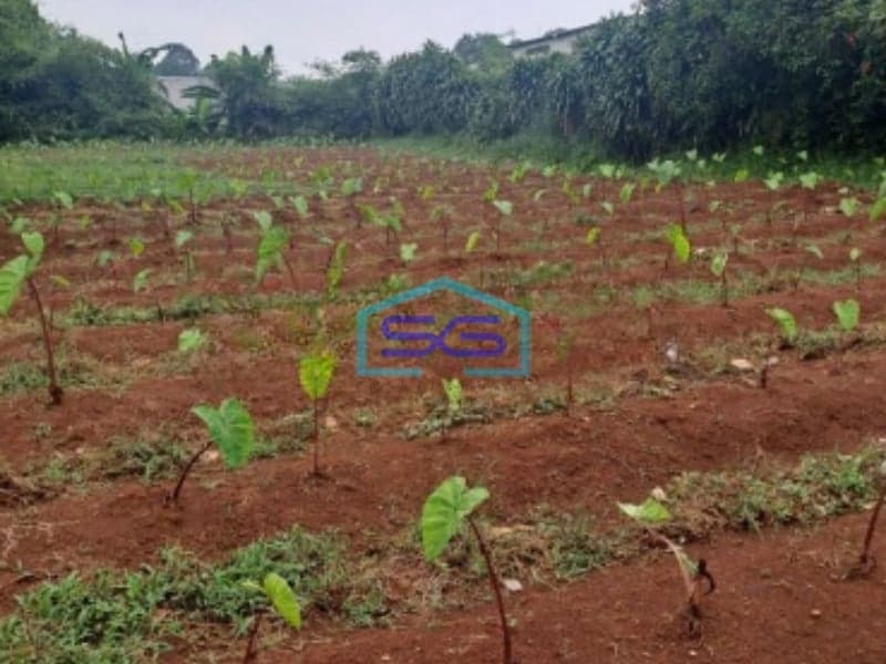 Dijual Tanah Di Tegal Kemang Bogor Lokasi di Pinggiran Kota SHM