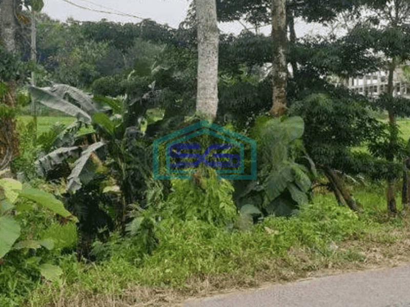 Dijual tanah di Solo