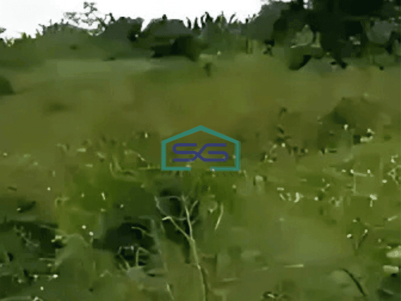 Dijual Tanah Lokasi Strategis Luas Tanah  10000 m² di Legok Tangerang