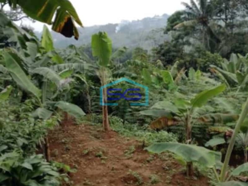 Dijual Tanah Di Gunung Geulis Sukaraja Bogor Luas Tanah 1900m2