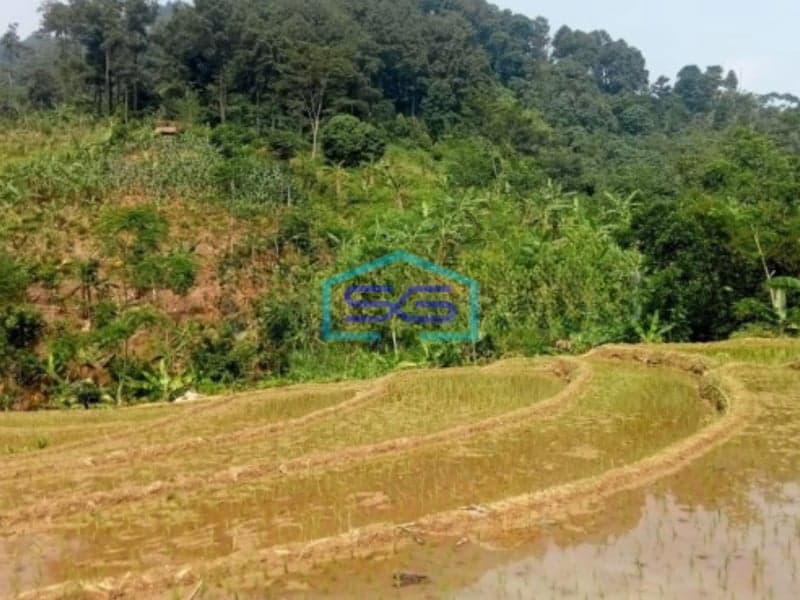 Dijual Tanah Desa Karang Tengah Curug Hejo Bogor LT 50000m2