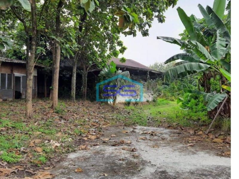 Dijual Tanah LT 62500m2 di Cipanas Lebak Banten
