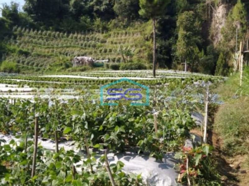 Dijual Tanah Strategis di Maribaya Lembang Luas Tanah  100000 m²