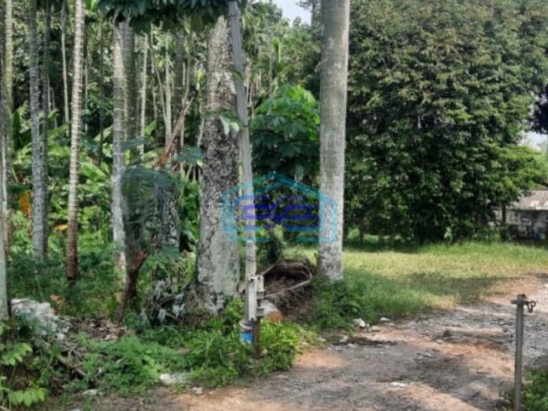 Dijual Cepat Tanah Harga Mepet NJOP 500m Dari Pintu Tol Sawangan Depok Luas Tanah  2350 m²