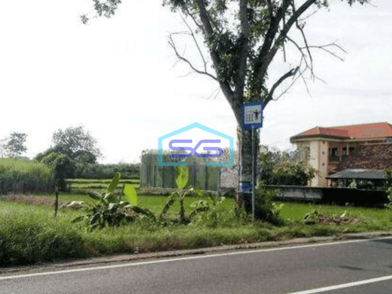 Dijual  Tanah Industri Cocok Untuk Gudang Ruko Dan Pabrik di Mantup Lamongan