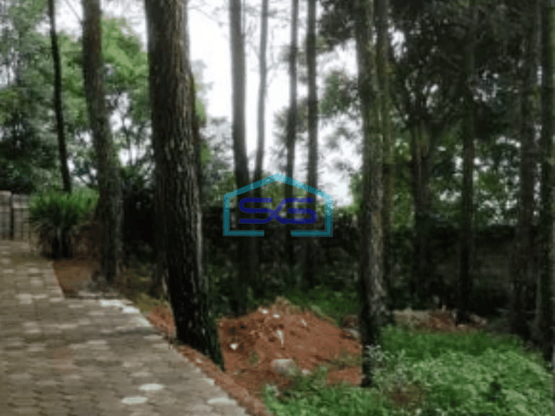 Disewakan Ruang Usaha di Ciumbuleuit Bandung Luas Bangunan 300 m²