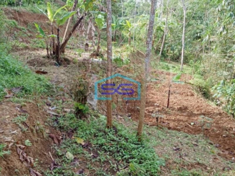 Dijual Tanah Daerah Bojongsari Purwakarta Jawa Barat