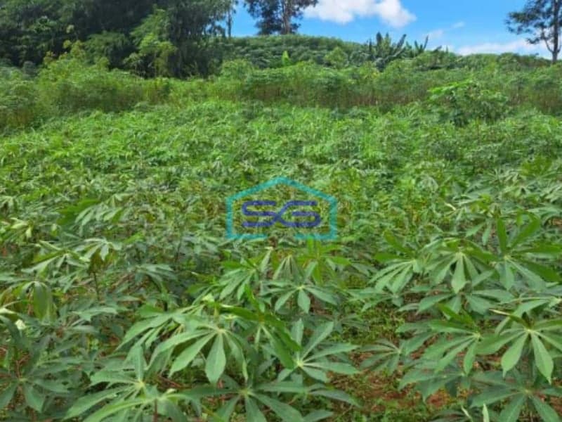 Dijual Tanah Di Kawasan Industri Citeureup Bogor Jawa Barat LT 86000m2