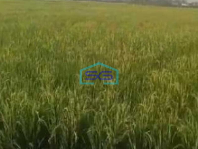 Dijual Tanah Industri Lokasi Sumberlawang Sragen Jawa Tengah Luas 65870m2