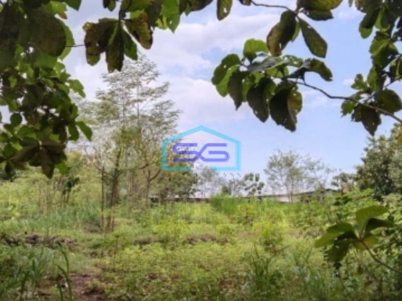 Dijual Tanah LT 7638m2 di Bendungan Karangmojo Gunung Kidul Yogyakarta Strategis Murah