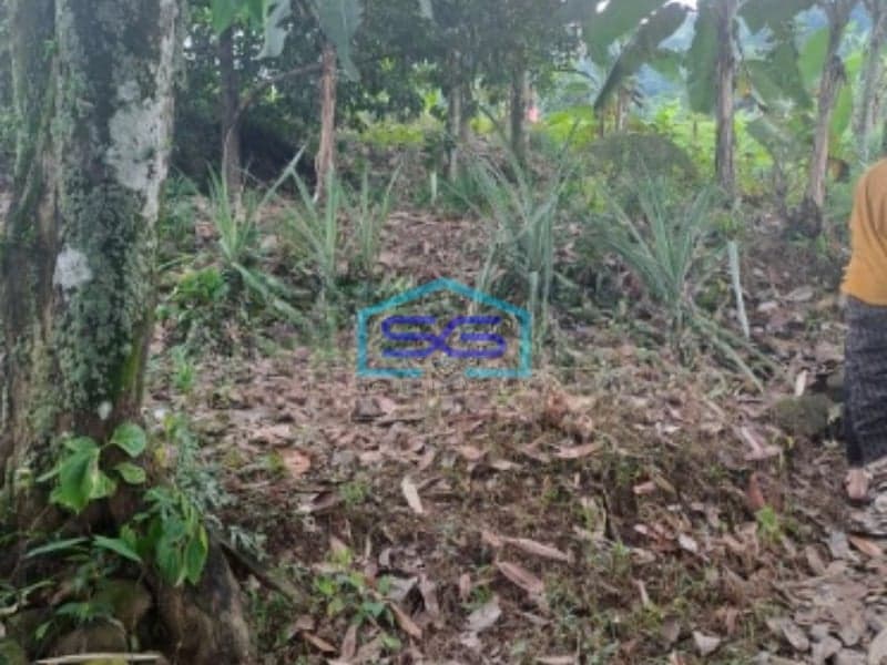 Dijual Tanah di Sentul City Bogor Dengan Luas 3000m2