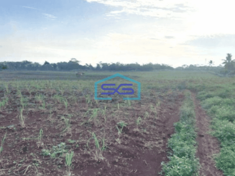 Dijual Tanah Untuk Industri - Cocok Buat Pabrik dan Pergudangan di Ciganea Purwakarta