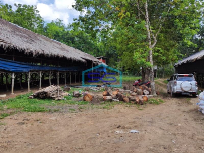 Dijual Tanah di Sembawa Banyuasin Sumatera Selatan Luas 140.000m2