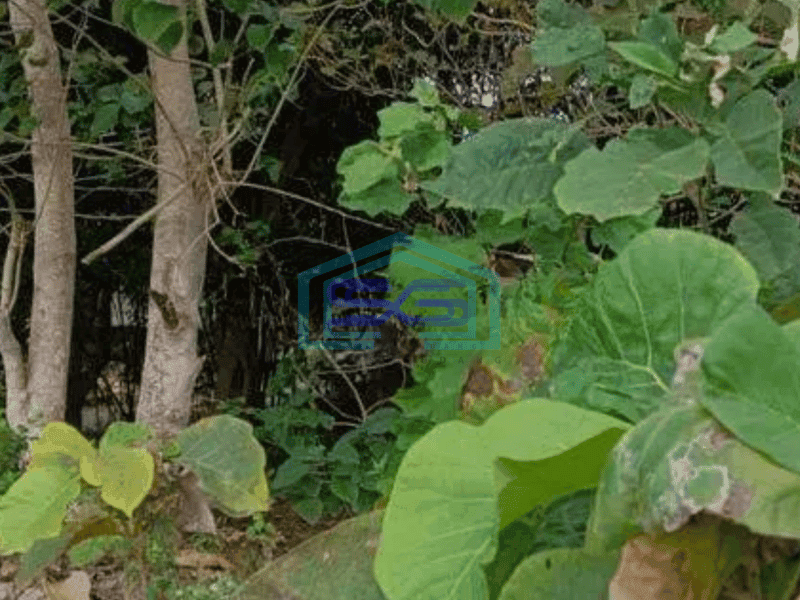 Dijual cepat nett tanah jalan utama Cigadung Dago, kota Bandung