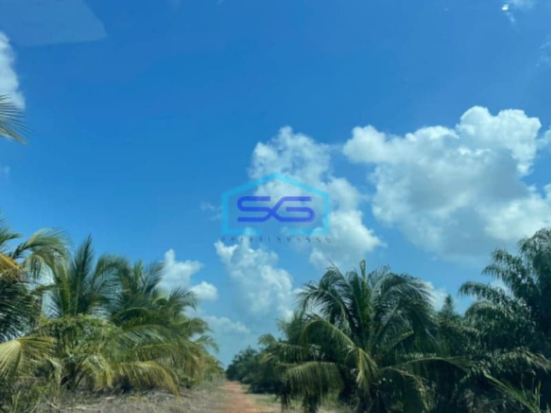 Dijual Tanah Jalan Tanjung Api Api Km 45 Palembang Luas Tanah 15.000m2