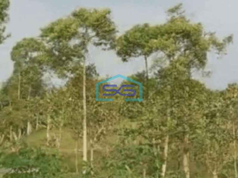 Dijual Tanah Di Cibiru Bandung Luas Tanah 10000m2