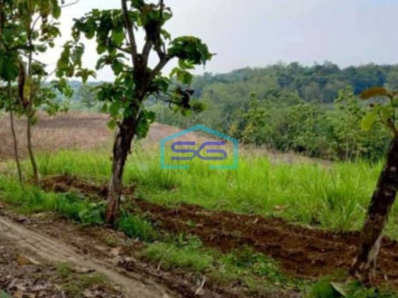 Dijual Tanah Industri Lokasi Sumberlawang Sragen Jawa Tengah Luas 65870m2